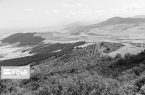 امنیت غذایی در معرض تهدید