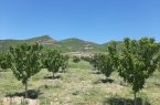 ضرورت حرکت در مسیر درآمدزایی و صادرات‌محوری