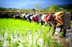 رعایت الزامات بهداشتی ، راه پیشگیری از ابتلا