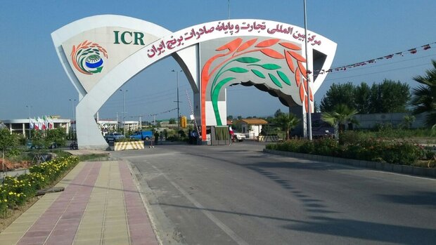 حدود ۲۰۰۰ هکتار از شالیزارهای استان تحت پوشش کشت قراردادی برنج توسط پایانه برنج قرارگرفت