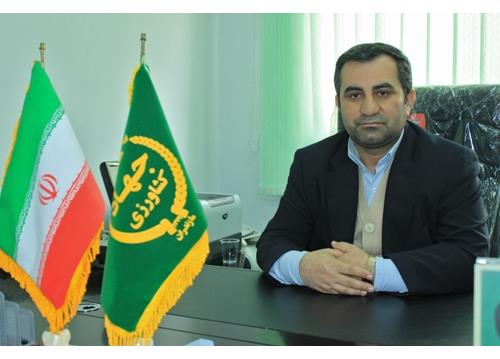 خریداری ۸۱ هزار تنی گندم از کشاورزان استان