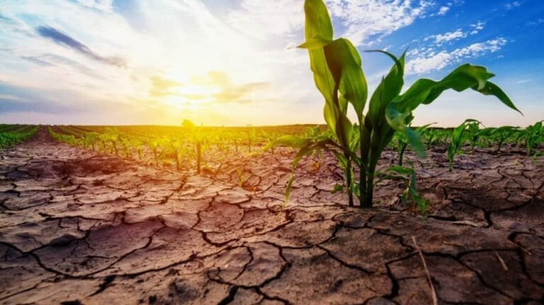 بدترین خشکسالی مازندران در نیم قرن اخیر