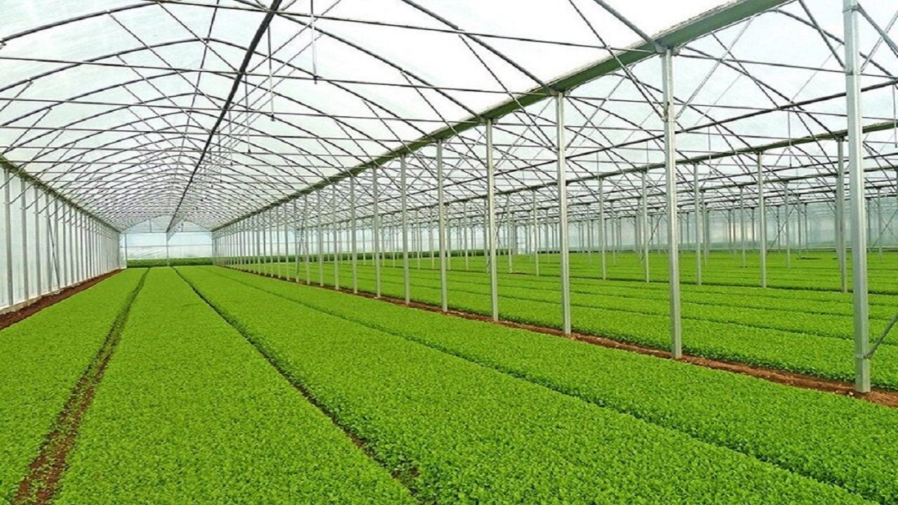 احداث نخستین شهرک گلخانه‌ای در آق قلا