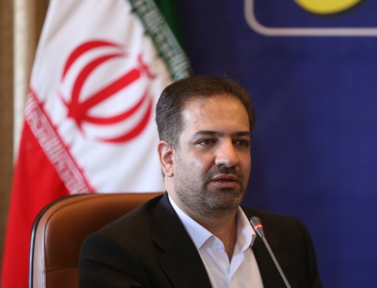 «خیال استاندارشدن» دلیل بی‌عملی «سلگی»؟!