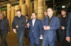 لزوم ثبات مديريت در مجموعه بزرگ چوب و كاغذ مازندران
