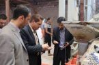 پیش‌بینی افزایش برداشت محصول از شالیزارهای رشت