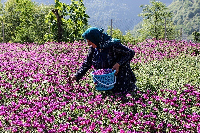 دهکده‌های کشاورزی در استان راه‌اندازی می‌شود