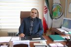 خریدار چوب های قاچاق هیرکانی نباشید