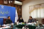 تردد آسان ، حق هر شهروند ایرانی دارای معلولیت است