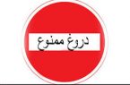 دروغ بزرگ سلگ
