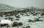 برف پاییزی، ییلاق و کوهستان‌های گلستان را فرا می‌گیرد