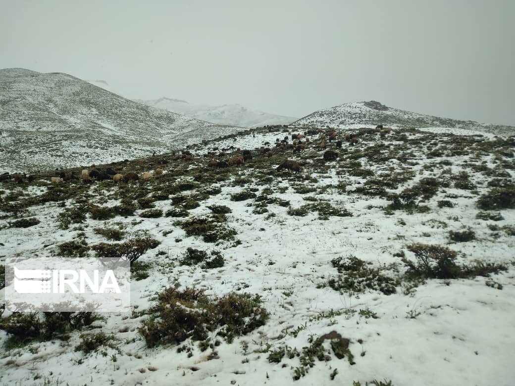 برف پاییزی، ییلاق و کوهستانهای گلستان را فرا میگیرد