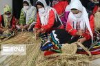 ۸۳۶ نفر به شاغلان بخش خانگی گیلان افزوده شد