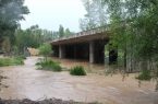 سیل به ۴۰ واحد مسکونی در ۲ روستای بخش مرکزی نوشهر خسارت زد