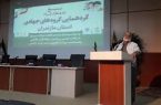 افول قدرت سیاسی و نظامی آمریکا