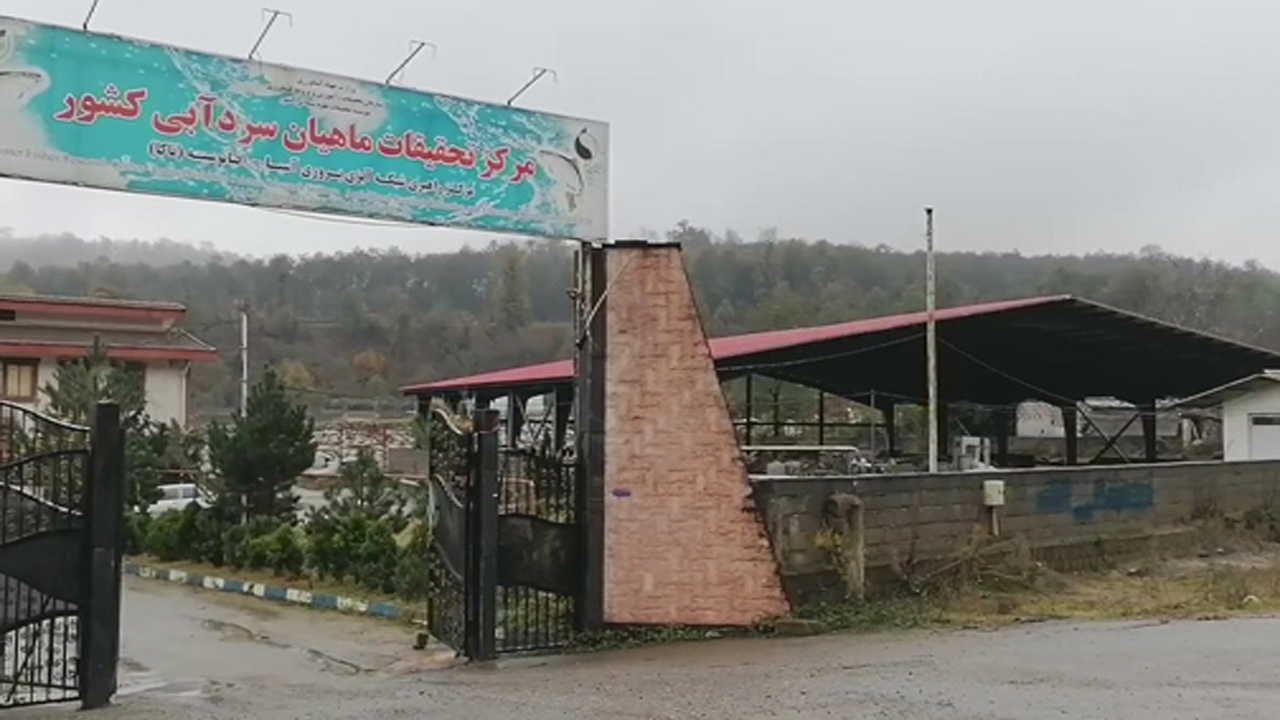 ماهیانِ بی‌نوا و تولید بی‌‌نواتر!