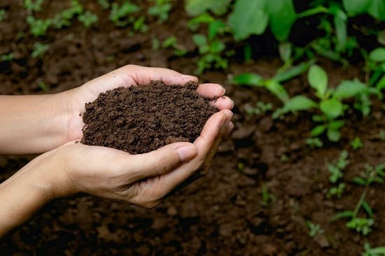خاک؛ اقتصاد، سیاست، محیط زیست و منابع طبیعی