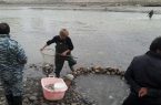 آغاز نجات ارزشمندترین ماهی دریای خزر از اواخر بهمن