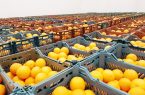 دستورهای «حسن» به «تامسون»!