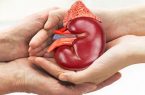 استان گیلان در پیوند اعضا از استان‌های پیشرو و پیشگام است