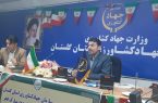 ۱۰ هزار خانوار  در دهه فجر از مزایای طرح‌های کشاورزی برخوردار شدند