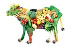 (بر مبنایِ حقِ حیوانات)