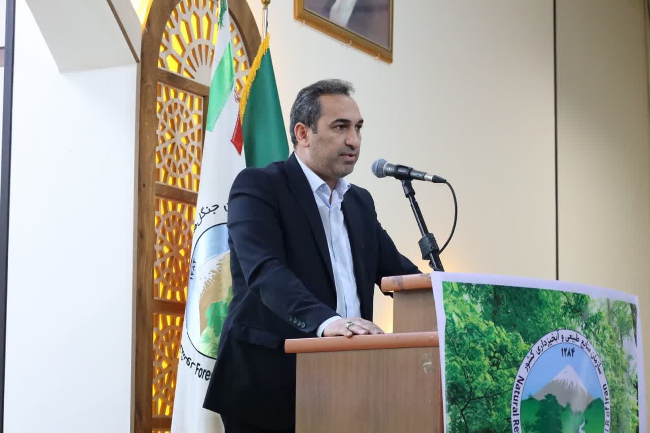«شو»نگذارید !کارتان را انجام دهید!