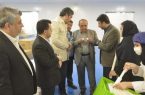 مدیرعامل منطقه آزاد انزلی از واحدهای سرمایه گذاری خارجی جدید  بازدید کرد