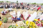جشنواره بهار نارنج گیلان ثبت ملی شد