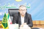 کشاورزان استان باید امسال  از کشت دوم برنج خودداری کنند