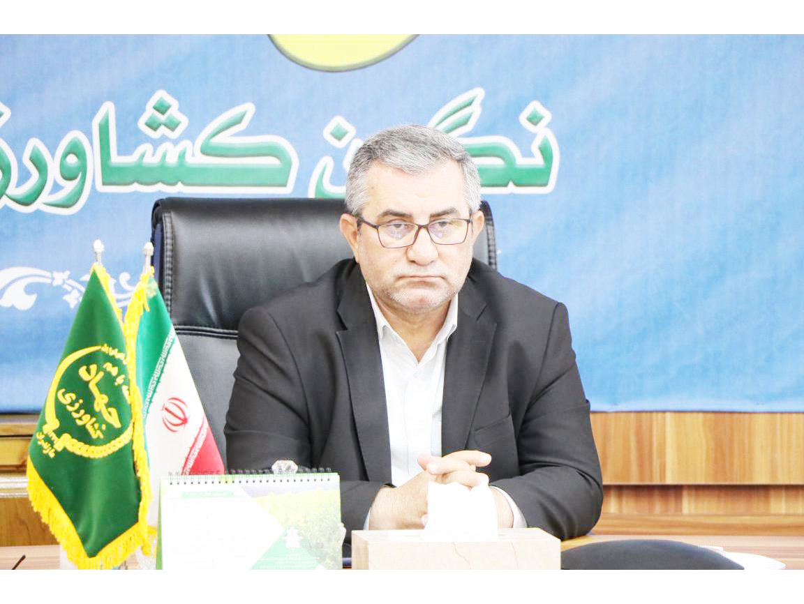 کشاورزان استان باید امسال  از کشت دوم برنج خودداری کنند