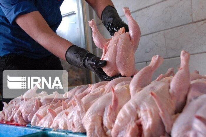 مشاجره بر سر قیمت گوشت مرغ در چالوس منجر به قتل شد