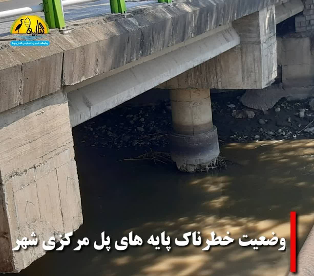 موریانه در مدیریت شهری فریدونکنار