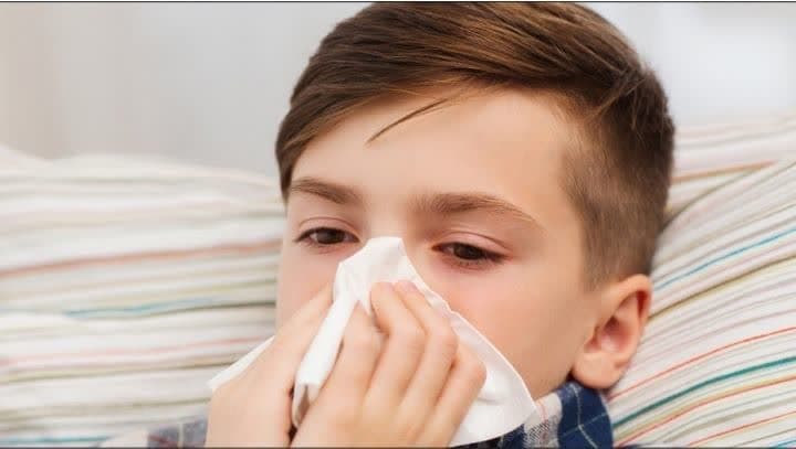 آغاز به کارِ ویروس‌های هزار رنگ در فصلِ طبیعت رنگارنگ