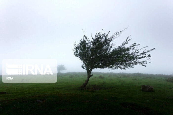 باد با سرعت ۹۴ کیلومتر گلستان را درنوردید