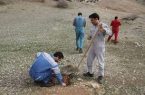 یک بام و دو هوا در حفظ جنگل‌های کشور