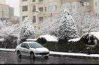 دلگرمیِ سپیدِ آخرین روزهای زمستان