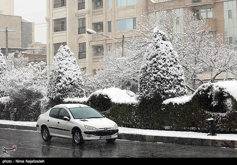 دلگرمیِ سپیدِ آخرین روزهای زمستان