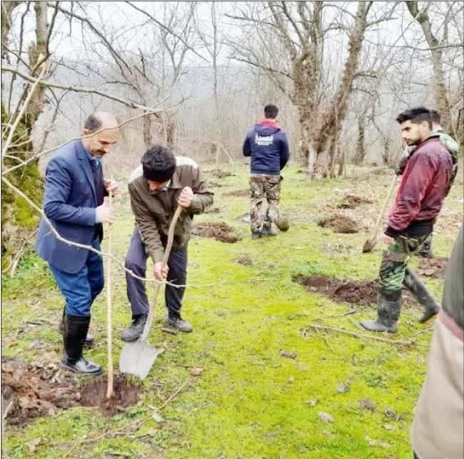 منابع طبیعی مازندران و فقدان مسئولیت‌پذیری