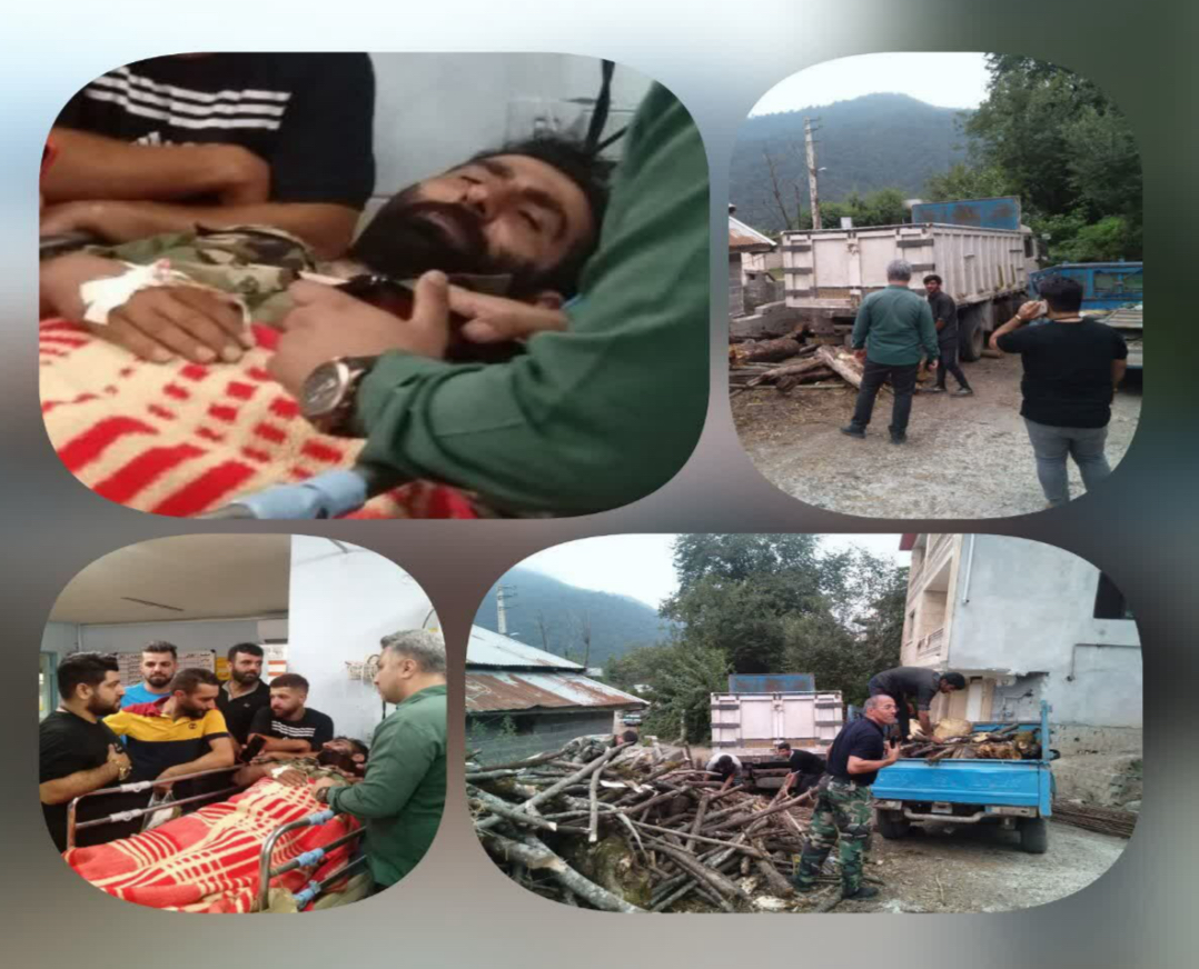 قلبِ مجروحِ جنگل