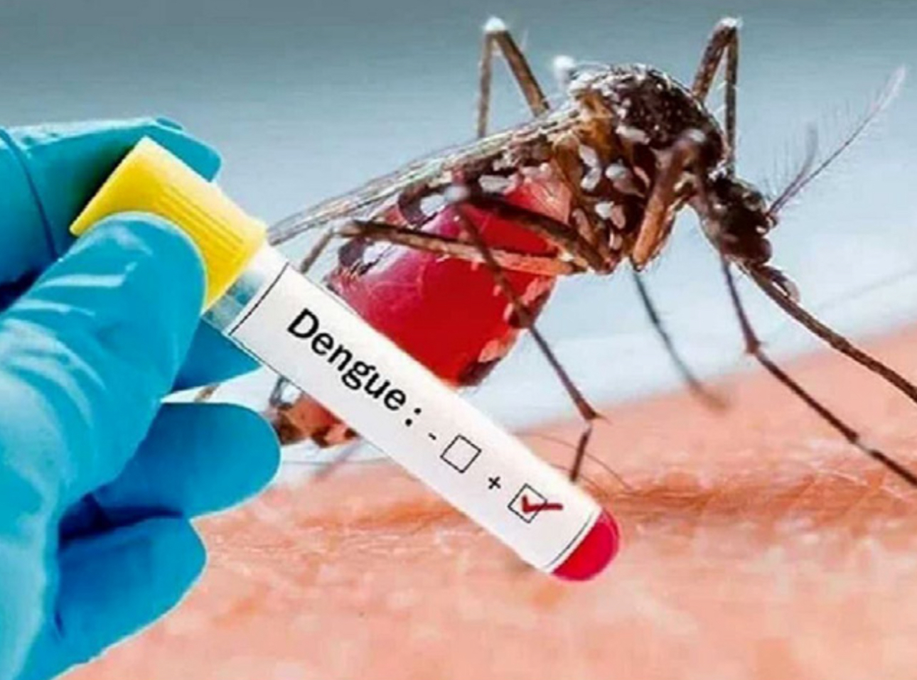 افزایشِ جولانگاهِ پشه مزاحم