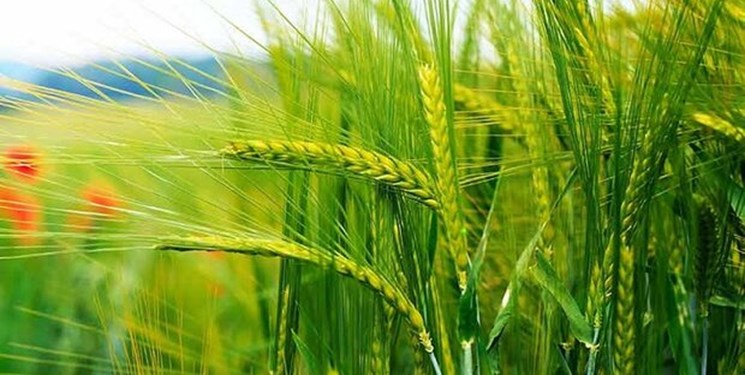 کشاورزی در آستانهی خطر
