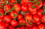 سیلاب و تاخیر در عرضه