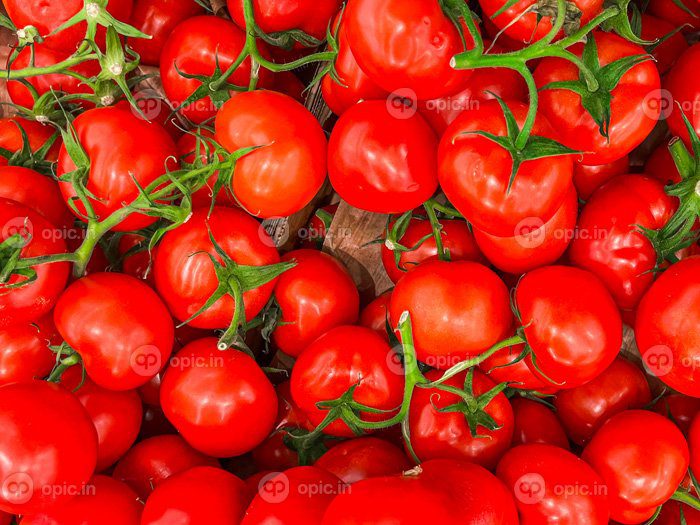 سیلاب و تاخیر در عرضه