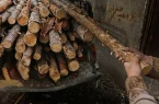 قلب‌هایی عاشق با دستانی خالی!