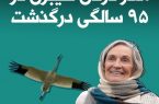 پروازِ ابدیِ عاشقِ درناها تا آسمان عشق