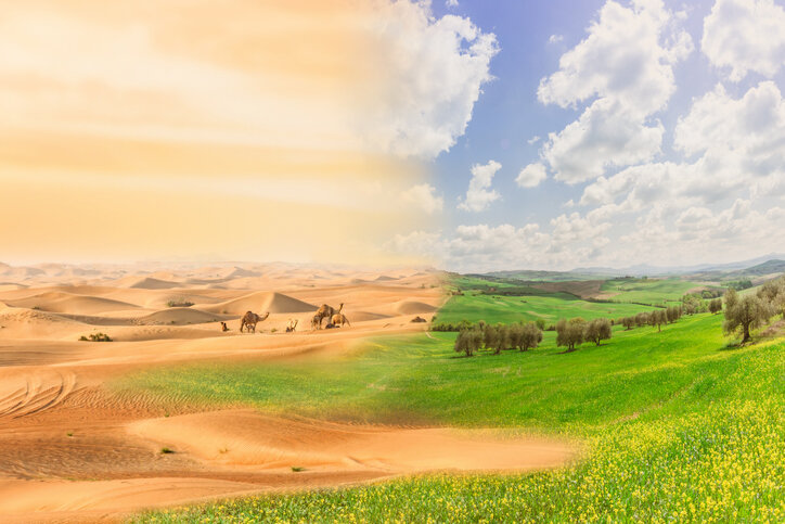 مقابله با بیابان‌زایی و تخریب خاک