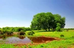 «محیطزیست» و سهم جوامع محلی «محیطزیست» و سهم جوامع محلی