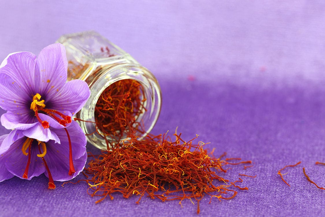 رویش طلای سرخ در دیار سبز شمال