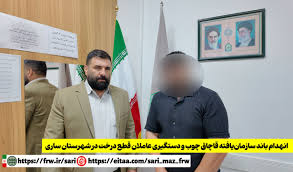 انهدام۴۷باند قاچاق چوب